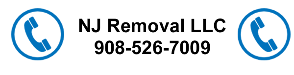 Logo with Phone Number
